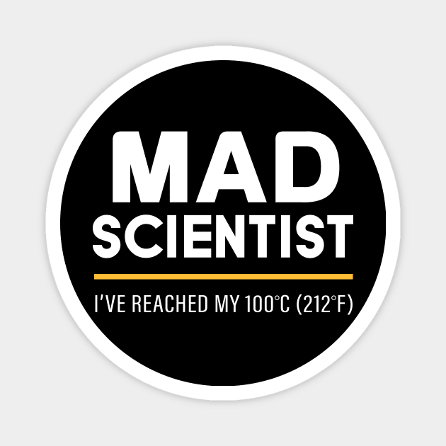 Mad Scientist Magnet by amalya